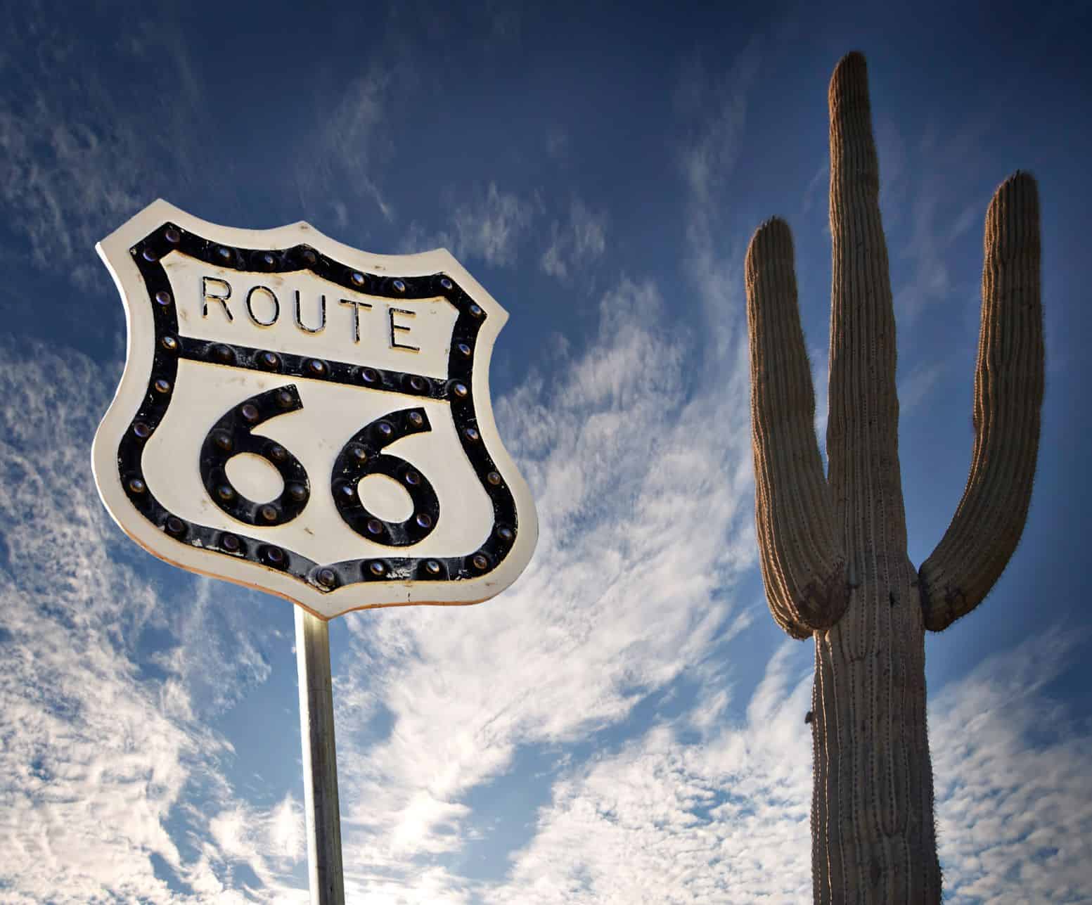 Route 66 sign & a giant cactus