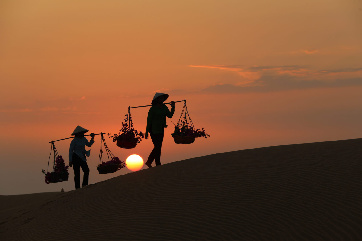 shutterstock_775976572-scaled.jpg